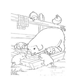 Animales de granja #310