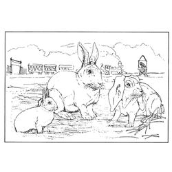 Animales de granja #317