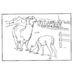 Animales de granja #325