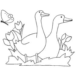 Animales de granja #334