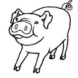 Animales de granja #341