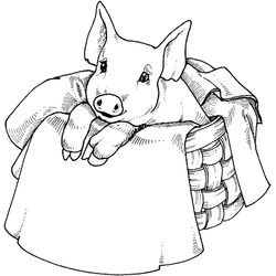 Animales de granja #342