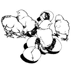 Animales de granja #355