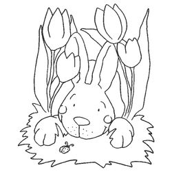Animales de granja #356