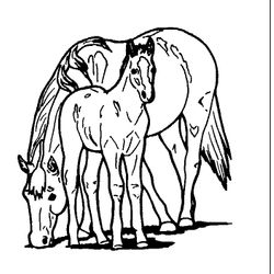 Animales de granja #359