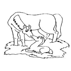 Animales de granja #377