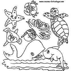Animales marinos #380