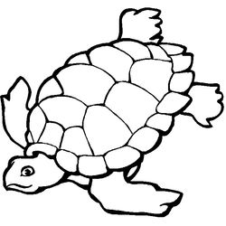 Animales marinos #382