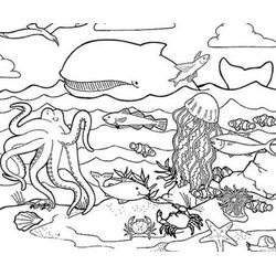 Animales marinos #384