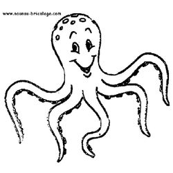 Animales marinos #385