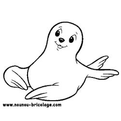 Animales marinos #391