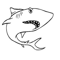 Animales marinos #392