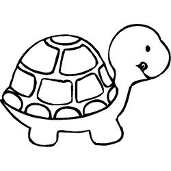 Animales marinos #393