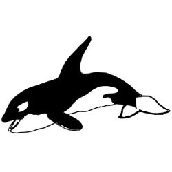 Animales marinos #396
