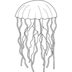 Animales marinos #397