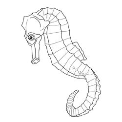 Animales marinos #402