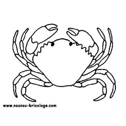Animales marinos #404