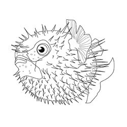 Animales marinos #407