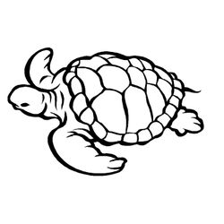 Animales marinos #411