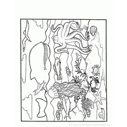Animales marinos #414