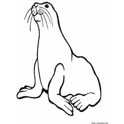 Animales marinos #415