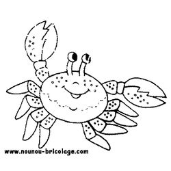 Animales marinos #416
