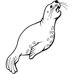 Animales marinos #417