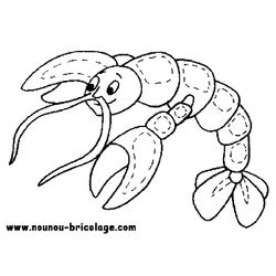 Animales marinos #420