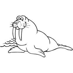 Animales marinos #423