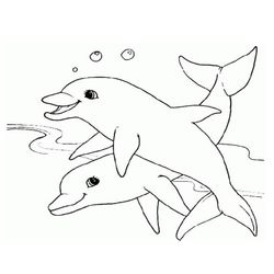 Animales marinos #427