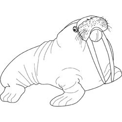 Animales marinos #430