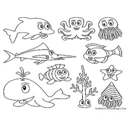 Animales marinos #431