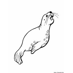 Animales marinos #433