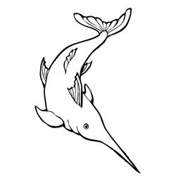 Animales marinos #434