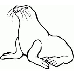 Animales marinos #435