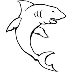 Animales marinos #439