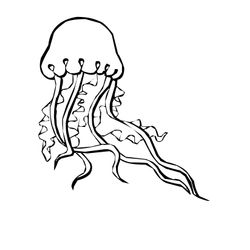 Animales marinos #443