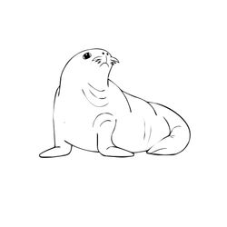 Animales marinos #444