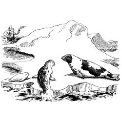 Animales marinos #445