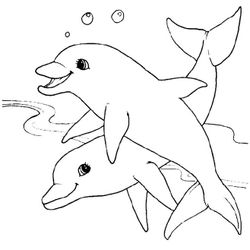 Animales marinos #448