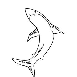 Animales marinos #450