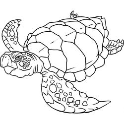Animales marinos #451