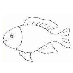 Animales marinos #453