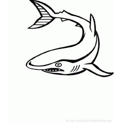 Animales marinos #455