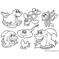 Animales marinos #458