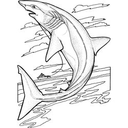 Animales marinos #462