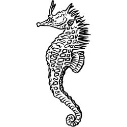 Animales marinos #464