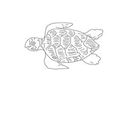 Animales marinos #467