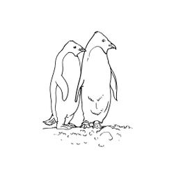 Animales marinos #468