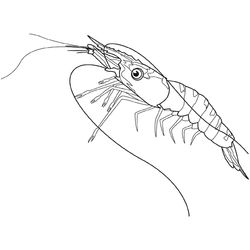 Animales marinos #472